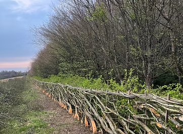 C. Fyfe Countryside Ltd